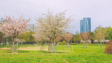 The new metric aims to create a business case for investors and companies to demonstrate positive impacts and show they are reversing the trend of natural environment degradation